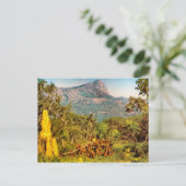 Carte Postale Termite, Sierra da Hanba, Angola (Debout devant)