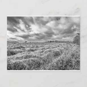 Carte Postale Terrain agricole dans la campagne de Norfol rural