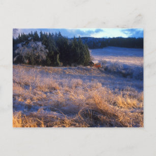 Carte Postale Terrain de glace et pont couvert Wilmington