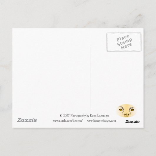 Carte Postale Terrain rocheux (Dos)