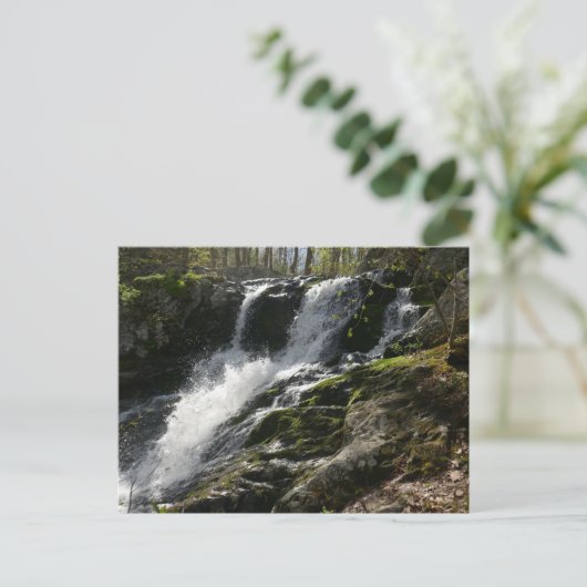 Carte Postale Terrain Run Falls (Debout devant)