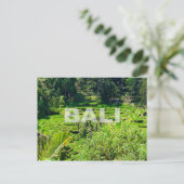 Carte Postale Terrasses Bali Rice (Debout devant)