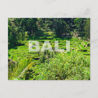 Carte Postale Terrasses Bali Rice