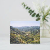 Carte Postale Terrasses Banaue Rice (Debout devant)
