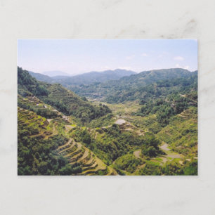 Carte Postale Terrasses Banaue Rice