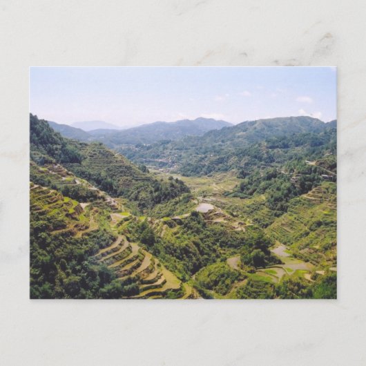 Carte Postale Terrasses Banaue Rice (Devant)