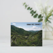 Carte Postale Terrasses Banaue Rice (Debout devant)