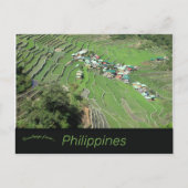 Carte Postale Terrasses De Riz Batad Près De Banaue Ifugao Phili (Devant)
