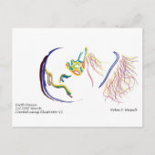 Carte Postale terre (Devant)