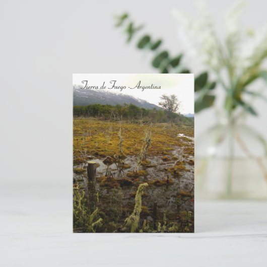 Carte Postale Terre de Feu - Argentine (Debout devant)