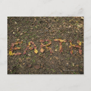 Carte Postale 'TERRE' écrite avec des feuilles tombés qui virent
