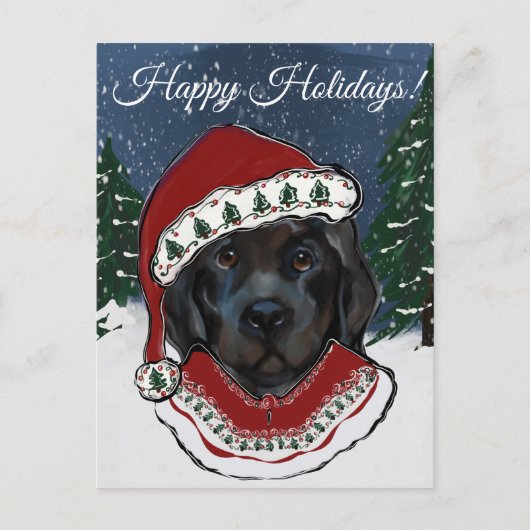 Carte Postale Terre-Neuve (Devant)