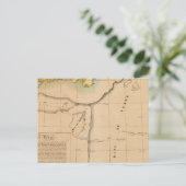 Carte Postale Terre-Neuve 45 (Debout devant)