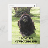 Carte Postale Terre-Neuve aime avec pic.png (Devant / Derrière)