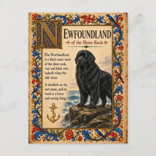 Carte Postale Terre-Neuve, Art de Bestiaire Médiéval