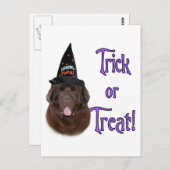 Carte Postale Terre-Neuve (brun) Trick (Devant / Derrière)