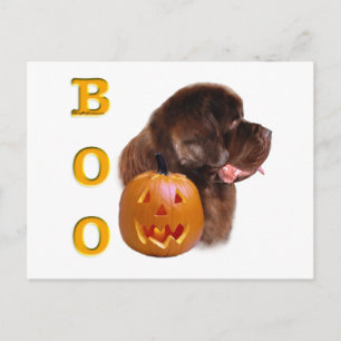 Carte Postale Terre-Neuve (né) Halloween Boo