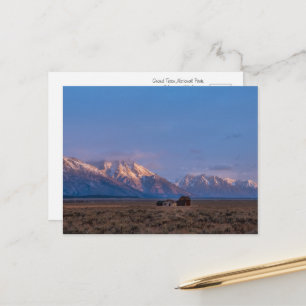 Carte Postale Terres ouvertes de Grand Teton
