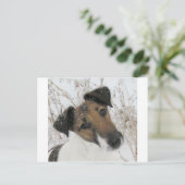 Carte Postale terrier à fox lisse (Debout devant)
