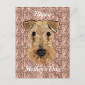 CARTE POSTALE TERRIER AIREDALE     (Devant)