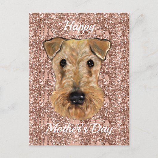 CARTE POSTALE TERRIER AIREDALE     (Devant)