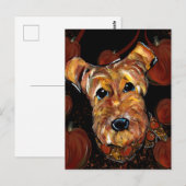 CARTE POSTALE TERRIER AIREDALE (Devant / Derrière)