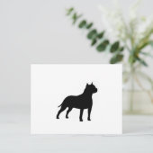 Carte Postale terrier américain (Debout devant)