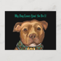 TERRIER AMÉRICAIN DU STAFFORDSHIRE