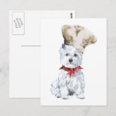 Carte Postale Terrier Blanc de West Highland Chef (Devant / Derrière)