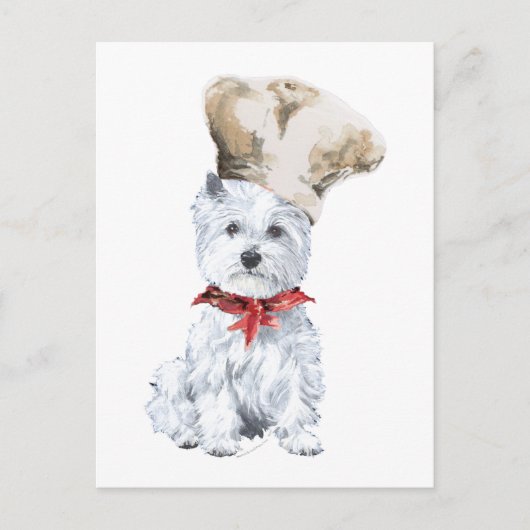 Carte Postale Terrier Blanc de West Highland Chef (Devant)
