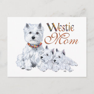 Carte Postale Terrier Blanc de West Highland Maman et chiots