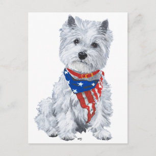 Carte Postale Terrier Blanc de West Highland Patriotique