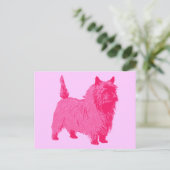 Carte Postale Terrier Cairn Rose (Debout devant)