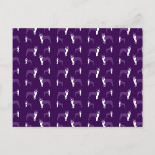 Carte Postale Terrier de boston pourpre
