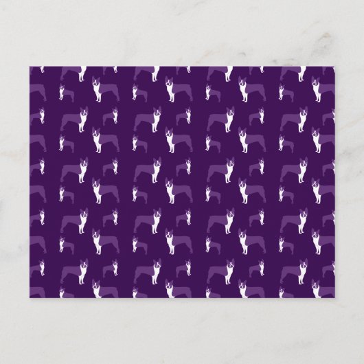 Carte Postale Terrier de boston pourpre (Devant)