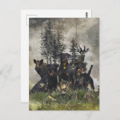 Carte Postale Terrier de chasse allemand (Jagdterrier) (Devant / Derrière)