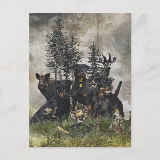 Carte Postale Terrier de chasse allemand (Jagdterrier) (Devant)