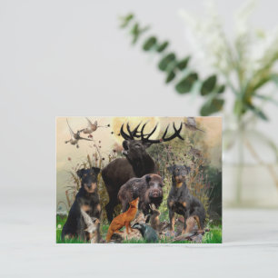 Carte Postale Terrier de chasse allemand (Jagdterrier)