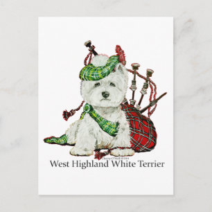 Carte Postale Terrier de West Highland
