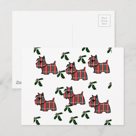 CARTE POSTALE TERRIER ÉCOSSAIS (Devant / Derrière)