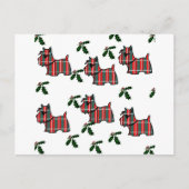 CARTE POSTALE TERRIER ÉCOSSAIS (Devant)