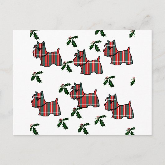CARTE POSTALE TERRIER ÉCOSSAIS (Devant)