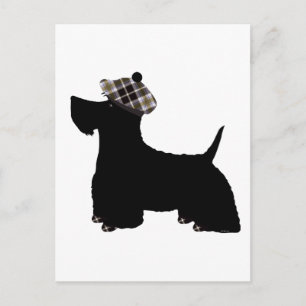 Carte Postale Terrier écossais