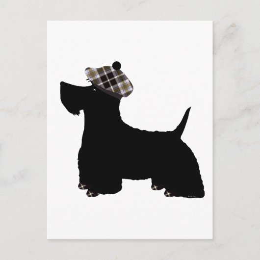 Carte Postale Terrier écossais (Devant)