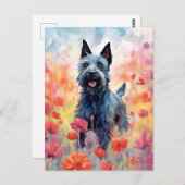 Carte Postale Terrier écossais aquarelle colorée (Devant / Derrière)