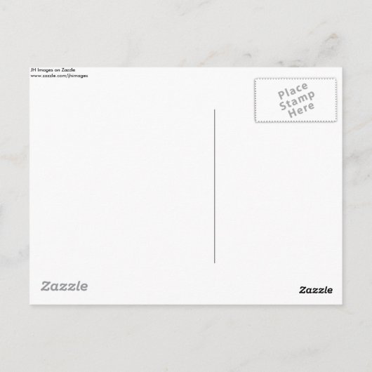 Carte Postale Terrier écossais en herbe - mignonne Scotty (Dos)