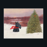 Carte Postale Terrier écossais en hiver<br><div class="desc">Le design de Christmas Scottish Terrier créé à partir de mon oeuvre originale et disponible sur les vêtements, nouveautés et cadeaux pour vous-même, ou pour cette personne spéciale Scottish Terrier que vous connaissez! Vous voulez un autre produit ? Il vous suffit d'aller à la page produit et CLIQUER sur Transférer...</div>