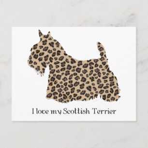 Carte Postale Terrier Écossais Impression Guépard