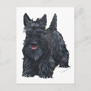 Carte Postale Terrier Écossais joueur