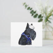 Carte Postale Terrier Écossais Marin (Debout devant)